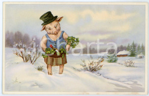 1910 ca ANIMALS Lucky pig with four leaf clover basket *Anthropomorphic postcard  Cartolina postale d'epoca, non viaggiata.CONDIZIONI: GFORMATO: FP    originale e autentica 1