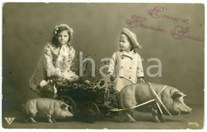 1912 BONNE ANNEE Children, pigs and a mistletoe cart - Vintage postcard  Cartolina postale d'epoca, viaggiata.CONDIZIONI: F (minime abrasioni ai lati e lieve piega al lato destro)FORMATO: FP     originale e autentica 1