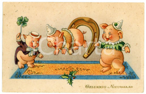 1910ca GELUKKIG NIEUWJAAR Three pigs playing with horseshoe - Postcard FP NV  Cartolina postale d'epoca, viaggiata.CONDIZIONI: FAIR (lievi piegature agli angoli)FORMATO: FP    originale e autentica 1