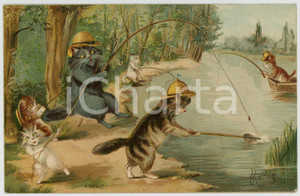 1904 ANIMALS Cats fishing at the river - Anthropomorphic Postcard FP VG  Cartolina postale d'epoca, viaggiata.CONDIZIONI: FAIR (lievi smusstaure agli angoli)FORMATO: FP    originale e autentica 1