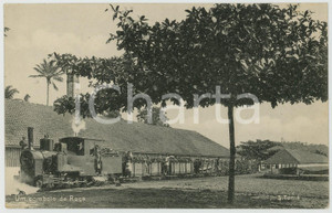 1915 ca SÃO TOMÉ Um comboio de Roça - ANIMATED postcard train farm Cartolina postale d'epoca, non viaggiata.CONDIZIONI: GFORMATO: FP    originale e autentica 1