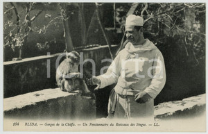 1910 BLIDA Gorges de la CHIFFA Pensionnaire du Ruisseau des Singes Carte postale  Cartolina postale d'epoca, non viaggiata.CONDIZIONI: FAIRFORMATO: FP    originale e autentica 1
