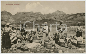 1910 ca SAO VICENTE (CABO VERDE) Lavadeiras matiota - Postcard ETHNIC TYPES  Cartolina postale d'epoca, non viaggiata.CONDIZIONI: GFORMATO: FP    originale e autentica 1