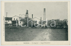 1900 ca TRINIDAD (Republica de CUBA) Ingenio - Sugar Plantation *Postcard  Cartolina postale d'epoca, non viaggiata.CONDIZIONI: GFORMATO: FPEDITORE: M. Lazaro - Habana    originale e autentica 1