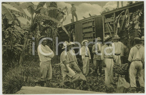 1920 ca GUATEMALA Loading banana in Virginia - Original ANIMATED postcard  Cartolina postale d'epoca, non viaggiata.CONDIZIONI: G FORMATO: FP    originale e autentica 1