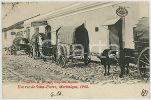 1902 SAINT-PIERRE (MARTINIQUE) Une rue - Carte postale calèches Julio LOWENTHAL  Cartolina postale d'epoca, viaggiata.CONDIZIONI: G FORMATO: FP    originale e autentica 1