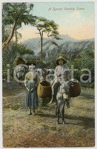 1910 ca JAMAICA A tropical country scene - Original chromo postcard TYPES ETHNIC  Cartolina postale d'epoca, non viaggiata.CONDIZIONI: G (piccole macchie al verso)FORMATO: FP    originale e autentica 1