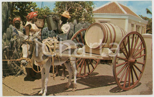 1964 CURAÇAO Water vendor - Types ETHNIC Postcard  Cartolina postale d'epoca, viaggiata (ma francobollo mancante).CONDIZIONI: GFORMATO: FP    originale e autentica 1