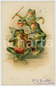 1902 ANIMALS Concert scene - Frogs playing and singing *Anthropomorphic postcard  Cartolina postale d'epoca, viaggiata.CONDIZIONI: G (minima piegatura all'angolo superiore destro)FORMATO: FP    originale e autentica 1