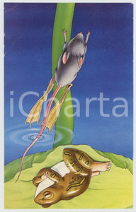 1980 ca ANIMALS Paws exchange - Frog and mouse in the pond - Vintage postcard  Cartolina postale, scritta ma non viaggiata.CONDIZIONI: P (evidenti piegature diffuse; residui di colla al verso)FORMATO: FP    originale e autentica 1