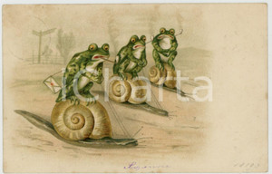 1905 ca ANIMALS Postman frog race on snails - Humour - Anthropomorphic postcard  Cartolina postale d'epoca, viaggiata (ma francobollo asportato).CONDIZIONI: F (piegatura all'angolo inferiore destro; lieve abrasione al verso)FORMATO: FP    originale e autentica 1