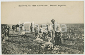 1910 ca COSTUMBRES ARGENTINA La Caza de Avestruzes - Tarjeta postal Cartolina postale d'epoca, non viaggiata.CONDIZIONI: GFORMATO: FPEDITORE: Carmelo Ibarra - Buenos Aires    originale e autentica 1
