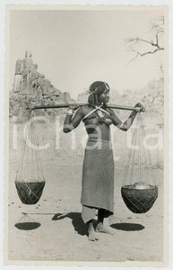 1920 ca GENTI DELL'ERITREA Ragazza CUNAMA trasporta acqua NUDO ETNICO Cartolina Cartolina postale d'epoca, non viaggiata.CONDIZIONI: FAIR (lieve piegatura all'angolo inferiore sinistro)FORMATO: FP    originale e autentica 1