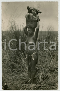 1955 ca STANLEYVILLE (CONGO BELGE) Femme indigène NU ETHNIQUE Carte postale FP  Cartolina postale d'epoca, non viaggiata ma con nota manoscritta al verso.CONDIZIONI: POOR (piegatura verticale al margine inferiore)FORMATO: FP    originale e autentica 1