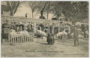 1904 GUERANDE - FRANCE La foire aux cochons au pied du Mail - Carte postale FP  Cartolina postale d'epoca, viaggiata. FAIR/discreto Lievi smussature agli angoli Formato: FP originale e autentica 1