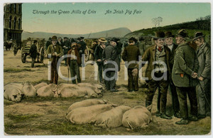 1920 ca IRELAND Irish pig fair - Through the Green Hills of Erin - Postcard FP  Cartolina postale d'epoca, non viaggiata. POOR/danneggiato Lievi smussature agli angoli, estesa abrasione al verso Formato: FP originale e autentica 1