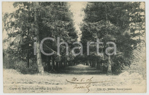 1906 LEOPOLDSBURG Camp de Beverloo - Allée des soupirs - Carte postale FP VG  Cartolina d'epoca, viaggiata. FAIR/discreto Lievi smussature agli angoli Formato: FP originale e autentica 1