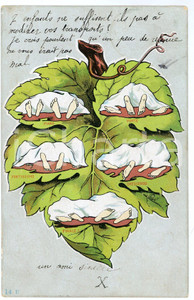 1904 HUMOUR EROTISME Piano, forte, fortissimo, crescendo, finale - Cartolina  Cartolina postale d'epoca, viaggiata.CONDIZIONI: P (profonda piegatura centrale; piccola piegatura all'angolo superiore destro; abrasioni al lato sinistro; macchie al verso)FORMATO: FP    originale e autentica 1