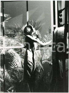 1977 LIRICA Soprano Carole FARLEY in "Lulu" - Foto 18x24 cm  Fotografia originale, con didascalia al verso. GOOD/buono  Formato: 18x24 cm originale e autentica 1