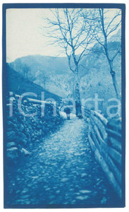 1905 ca VALTELLINA (?) Anziane con gerla - Foto 14x8 cm Fotografia d'epoca.FOTOGRAFO: Dr. Vittorio Ronchetti - Milano FAIR/discreto Lievi smussature agli angoli Formato: 14x8 originale e autentica 1