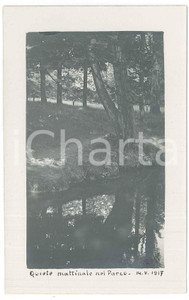 Fotografia d epoca originale 1917 MILANO Parco Sempione Scorcio  Fotografia Raffaele PEDRETTI 1 1