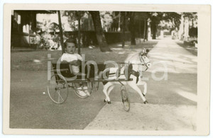 1930 ca ITALIA - COSTUME - Bambina su carretto giocattolo - Foto cartolina 14x9  Fotografia d'epoca,  in formato cartolina postale.CONDIZIONI: GFORMATO: 14x9 cm    originale e autentica 1