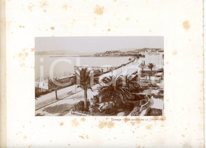 1910 ca CANNES (Côte d'Azur, FRANCE) Boulevard de la Croisette - Photo Fotografia seriale d'epoca, montata su cartoncino morbido.Margine telato a sinistra. POOR fioriture Formato: 29x23 cm (cartoncino); 18x11 (fotografia) originale e autentica 1
