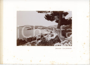 1910 ca BEAULIEU (CÃ´te d'Azur, FRANCE) Vue gÃ©nÃ©rale - Photo VINTAGE Fotografia seriale d'epoca, montata su cartoncino morbido.Margine telato a sinistra. POOR fioriture Formato: 30x23 (cartoncino); 18x11 (fotografia)) originale e autentica 1