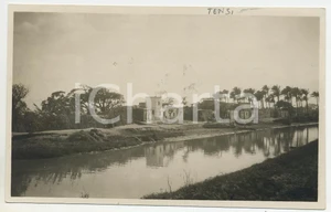 Cartolina originale da collezione 1920 ca BALIANA  L HILLIL ALGERIA Landscape with houses  Postcard FP NV 1