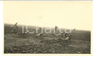 1935 ca CINA TIENTSIN Leoni di SAN MARCO - Esercitazioni all'arsenale (14) Foto Fotografia d'epoca.CONDIZIONI: GFORMATO: 11x7 cm    originale e autentica 1
