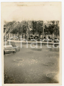 1935 ca CINA TIENTSIN Victoria Park - Leoni di SAN MARCO - Foto Fotografia d'epoca. GOOD/buono  Formato: 6x8 cm originale e autentica 1