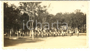 1935 ca CINA TIENTSIN - Leoni di SAN MARCO - Ginnastica (3) Foto 11x6 cm Fotografia d'epoca.CONDIZIONI: G (minima macchia al lato inferiore)FORMATO: 11x6 cm    originale e autentica 1