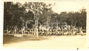 1935 ca CINA TIENTSIN - Leoni di SAN MARCO - Ginnastica (2) Foto 11x6 cm Fotografia d'epoca.CONDIZIONI: G (minima macchia al lato inferiore)FORMATO: 11x6 cm    originale e autentica 1
