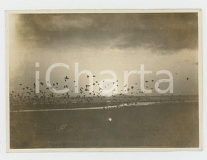 1935 ca CINA - Paesaggio fluviale con uccelli in volo - Foto VINTAGE 8x6 cm Fotografia d'epoca.CONDIZIONI: G (lieve smussamento angolare)FORMATO: 8x6 cm    originale e autentica 1