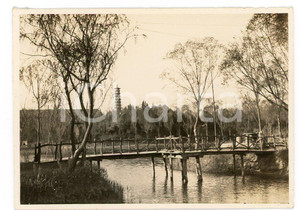 1935 ca CINA TIENTSIN - Paesaggio fluviale con alberi e ponte di legno - Foto Fotografia d'epoca. FAIR/discreto Lievi smussature angolari e al lato superiore Formato: 8 x 6 cm originale e autentica 1