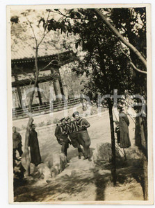 1935 ca CINA TIENTSIN Victoria Park - Leoni di SAN MARCO - Foto (1) Fotografia d'epoca. GOOD/buono  Formato: 6x8 cm originale e autentica 1