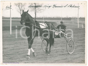 1930 ca MILANO Ippodromo SAN SIRO Marcello vince Premio Santo Stefano - Foto Fotografia d'epoca.CONDIZIONI: POOR (lievi piegature agli angoli, forellini da affissione)FORMATO: 24x18 cm    originale e autentica 1
