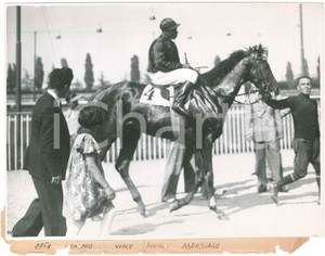 1930 ca MILANO Ippodromo SAN SIRO Cavallo vincitore del Premio Parabiago - Foto Fotografia d'epoca.CONDIZIONI: POOR (lievi piegature agli angoli, strappi e mancanze alla didascalia)FORMATO: 24x18 cm    originale e autentica 1