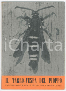 1960 ENTE NAZIONALE CELLULOSA E CARTA - Il tarlo-vespa del pioppo *ILLUSTRATO Pubblicazione d'epoca.PAGINE: 31 FAIR/discreto piccola piegatura in copertina, con traccia interna di ruggine; lievi tracce d'uso Formato: 12x17 cm originale e autentica 1