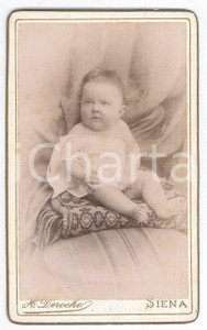 1880 ca. SIENA - Ritratto di bambino - Foto H. DEROCHE CDV  Fotografia d'epoca, su cartoncino rigido.FOTOGRAFO: Hippolyte Deroche, Siena, Piazza S. Spirito n. 5 GOOD/buono Piccoli segni al lato superiore e minime fioriture Formato: 6 x 10 cm originale e autentica 1