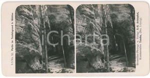 1890 ca GERMANY - Partie im Teufelsgrund b. Wehlen *Stereoview n° 52 Fotografia stereoscopica d'epoca, su cartoncino.Aristophot, Taucha-Leipzig GOOD/buono  Formato: 18x9 cm originale e autentica 1