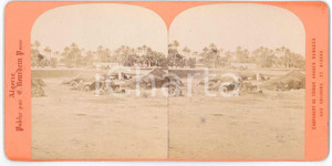 1880 ca ALGERIE - BISKRA Campement tribus nomades - Stereoview NEURDEIN PARIS Fotografia stereoscopica d'epoca, su cartoncino rigido. GOOD/buono  Formato: 18x9 cm originale e autentica 1