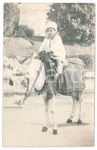 1930 MARSEILLE (FRANCE) Ritratto di bambina su asinello bardato - Foto VINTAGE  Fotografia d'epoca, in formato cartolina postale, con dedica al verso. GOOD/buono minima smussatura angolare Formato: 9x14 cm originale e autentica 1