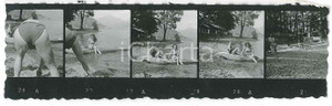 1950 ca ITALIA Ragazze al lago - Provini - Fotografia anonima 11x3 cm  Fotografia d'epoca. FAIR/discreto Lievi smussature agli angoli, angolo superiore destro mancante Formato: 11x3 cm originale e autentica 1