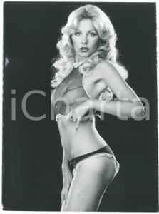 1980 ca VINTAGE EROTIC Model Caroline BOWDEN - Portrait - Photo 19x25 cm Fotografia originale d'epoca, con didascalia al verso.  FAIR/discreto piccole piegature e abrasioni angolari Formato: 19x25 cm originale e autentica 1