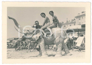1953 VARAZZE Donne in spiaggia sulla statua di un elefantino - Foto 14x10 cm Fotografia d'epoca.FOTOGRAFO: Vivaldi - Thanhoffer - Varazze GOOD/buono  Formato: 14x10 cm originale e autentica 1