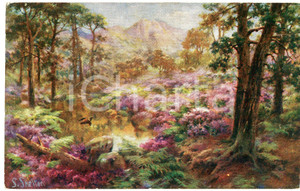 1920 ca Artist S. SHELTON Flower time - Landscape - Postcard n.8880  Cartolina postale d'epoca, non viaggiata.EDITORE: Raphael Tuck &amp; Sons FAIR/discreto Smussature agli angoli Formato: FP originale e autentica 1