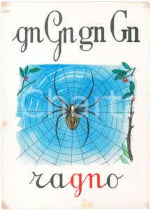1955 ca ABBECEDARIO Alfabeto murale illustrato - GN di Ragno - 24x34 cm  Alfabeto murale illustrato, su cartoncino.Editrice La Scuola - Brescia POOR/danneggiato Abrasioni e strappi agli angoli, strappo al margine destro, residui di nastro adesivo agli angoli Formato: FP originale e autentica 1