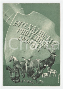 1972 BIELLA - ENPA Ente Nazionale Protezione Animali - Tessera 7x10 cm
