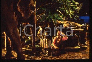 35mm vintage slide* 1996 COMEDY Film "LARGER THAN LIFE" Bill MURRAY and TAI (2)